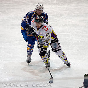 EHC München - Krefeld Pinguine Artikel