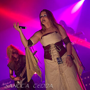 Kivimetsän Druidi Article