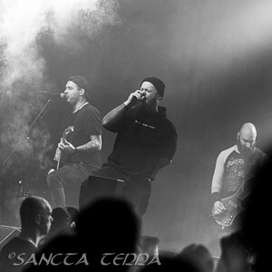 A Place To Fall Article