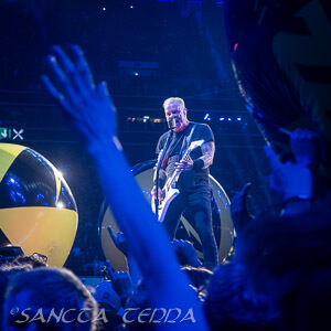 Metallica Artikel