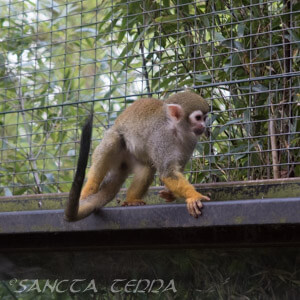 Zoo Nordhorn Article